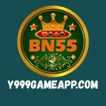 BN55 Game